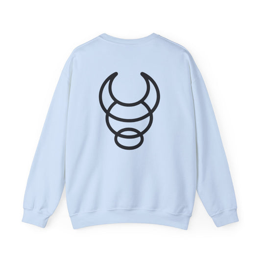 BIG BUFFALO light blue hooded sweatshirt