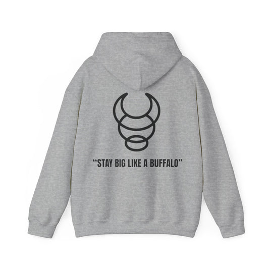 Sudadera BIG BUFFALO gris