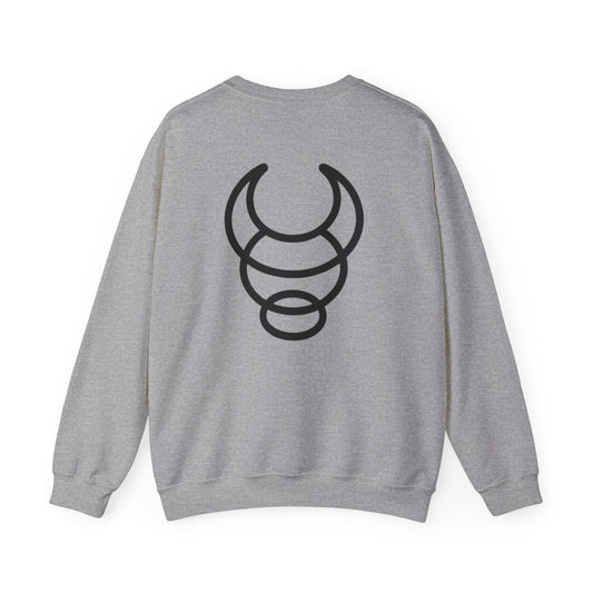 BIG BUFFALO grey hooded sweatshirt